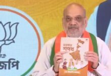 BJP Manifesto