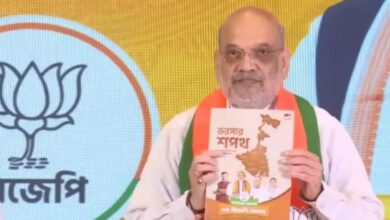 BJP Manifesto