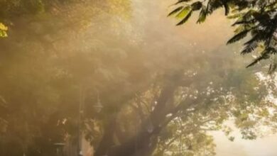 चिलचिलाती धूप में छाता लेकर सड़क पार करते लोग और आसमान में चमकता तेज सूरज