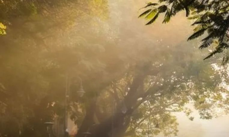 चिलचिलाती धूप में छाता लेकर सड़क पार करते लोग और आसमान में चमकता तेज सूरज