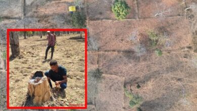 Gariaband Tiger Reserve Encroachment