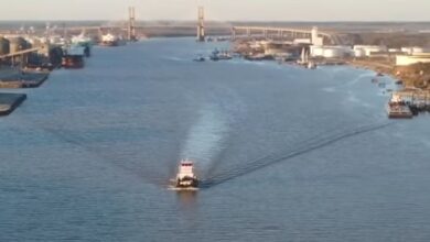 Hormuz Strait Crisis