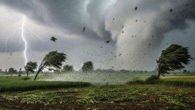 A conceptual image showing dark stormy clouds, heavy rain, and lightning over a city landscape, highlighting the IMD weather alert for 80kmph winds and hail in India.