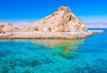 A conceptual image showing the contrast between the clear blue waters of the Red Sea and a reddish algal bloom on the surface, highlighting the true scientific facts.