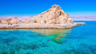 A conceptual image showing the contrast between the clear blue waters of the Red Sea and a reddish algal bloom on the surface, highlighting the true scientific facts.