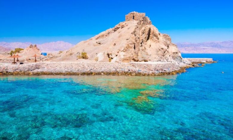 A conceptual image showing the contrast between the clear blue waters of the Red Sea and a reddish algal bloom on the surface, highlighting the true scientific facts.