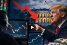 Trump Insider Trading