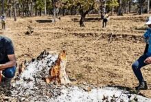 Udanti Sitanadi Tiger Reserve