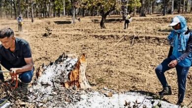 Udanti Sitanadi Tiger Reserve