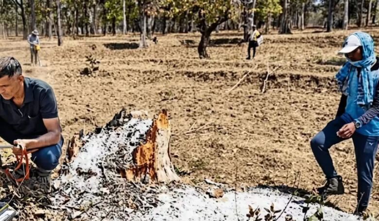 Udanti Sitanadi Tiger Reserve