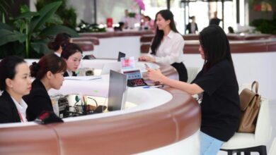 Vietnam banking crisis