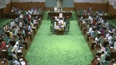 Women Reservation Bill Debate Chhattisgarh