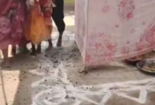 chhattisgarh wedding tradition