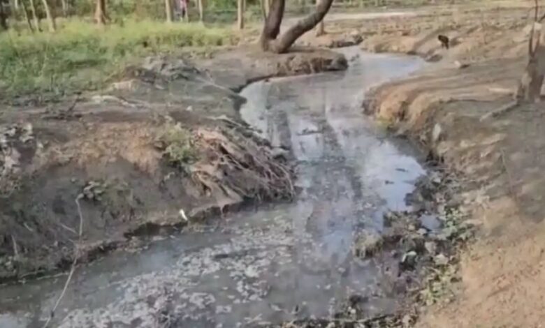 Bhatia Wine Factory Pollution