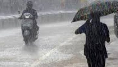 CG Weather Alert