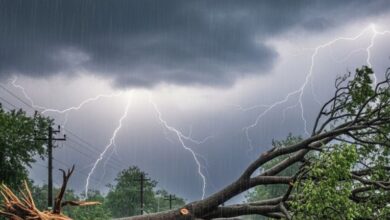 CG Weather Update