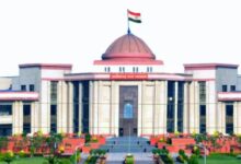 Chhattisgarh High Court Abortion Decision