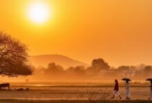Chhattisgarh Weather Update