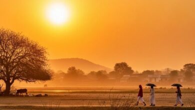 Chhattisgarh Weather Update