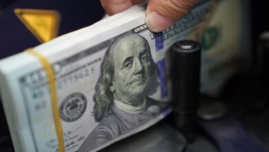 FPI Outflow Indian Share Market