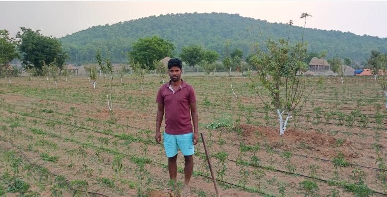 Jashpur Apple Farming