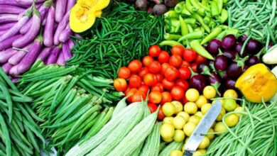 Raipur Food Adulteration