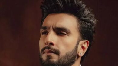 Ranveer Singh Don 3 Controversy