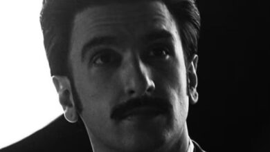 Ranveer Singh Don 3 Controversy