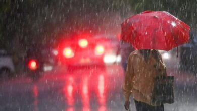 Weather Takes a U-Turn in Chhattisgarh