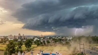 CG Weather Forecast