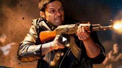 Mirzapur The Movie