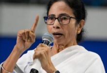 TMC Rebel MP List