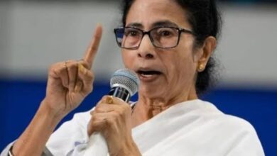 TMC Rebel MP List