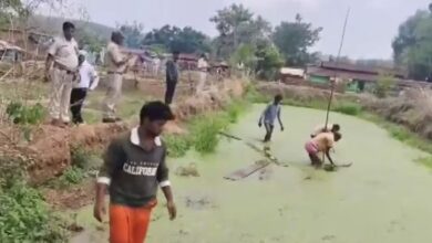 Teak Wood Smuggling in Gariaband