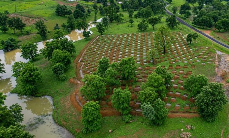 Mor Gaon Mor Pani Mahabhiyan