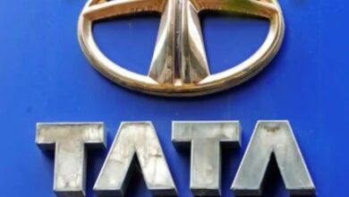 Titan Company Dividend