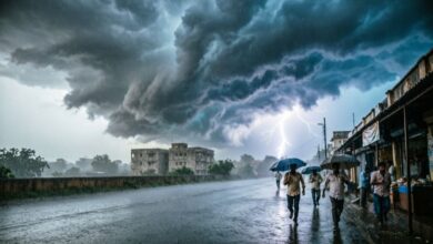 CG Weather Alert