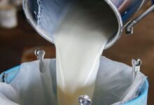 Mumbai Milk Price Hike