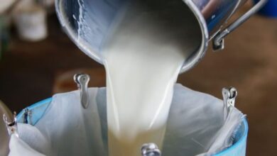 Mumbai Milk Price Hike