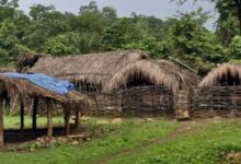 Bastar Tribal Culture