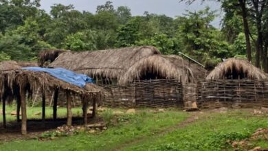 Bastar Tribal Culture