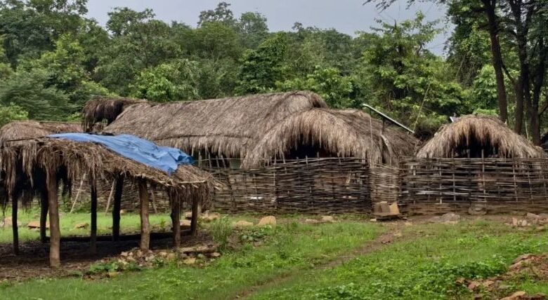 Bastar Tribal Culture