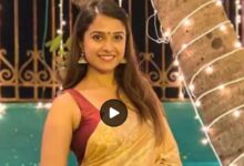 Disha Salian Case