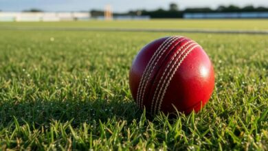 Indian Cricket Domestic Structure,