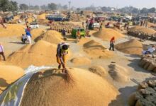 CG Dhan Kharidi 2026,