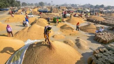 CG Dhan Kharidi 2026,
