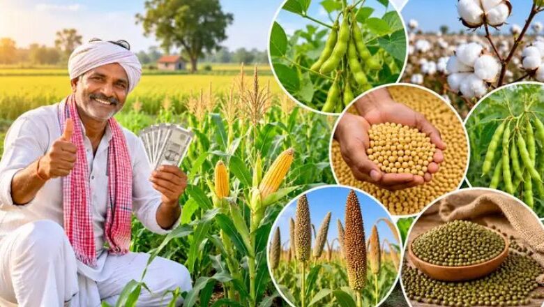 CG Farmers 15000 Per Acre,
