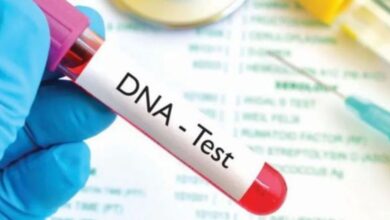 Chhattisgarh High Court DNA Case,