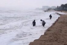 Cyclone Arnab Chhattisgarh Alert,