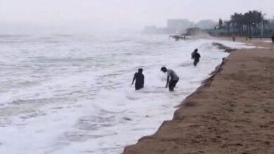Cyclone Arnab Chhattisgarh Alert,
